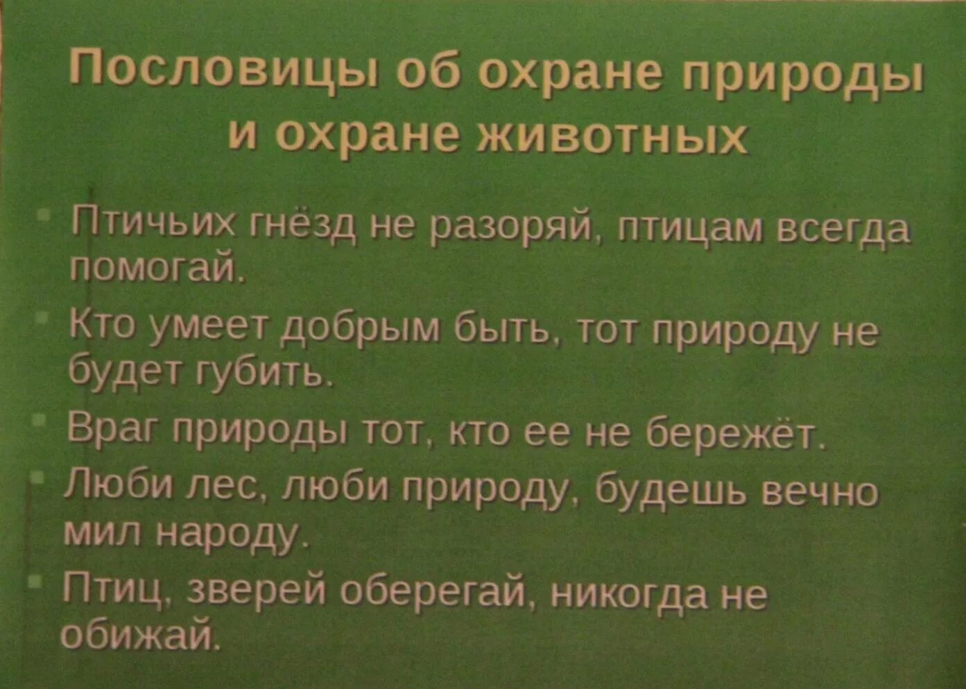 Правила жизни в ладу с природой 3. Пословицы и поговорки о природе. Пословицы о природе. Пословицы на тему природа. Пословицы и поговорки о защите природы.