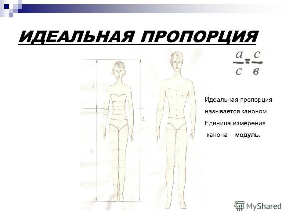 Геометрические иллюзии в одежде. Пропорции и масштабность. Возникающее впечатление искажения размера формы пропорций называют. Зрительно-мышечная иллюзия шарпантье. Конструкция и пропорции головы человека.