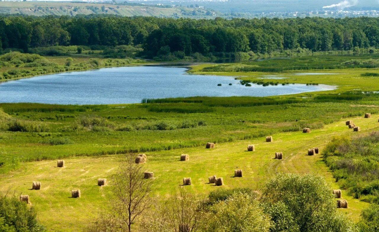 Национальный парк нижняя Кама Татарстан. Парк нижняя Кама Елабуга. Река Кама национальный парк нижняя Кама. Национальный парк «нижняя Кама» территория.