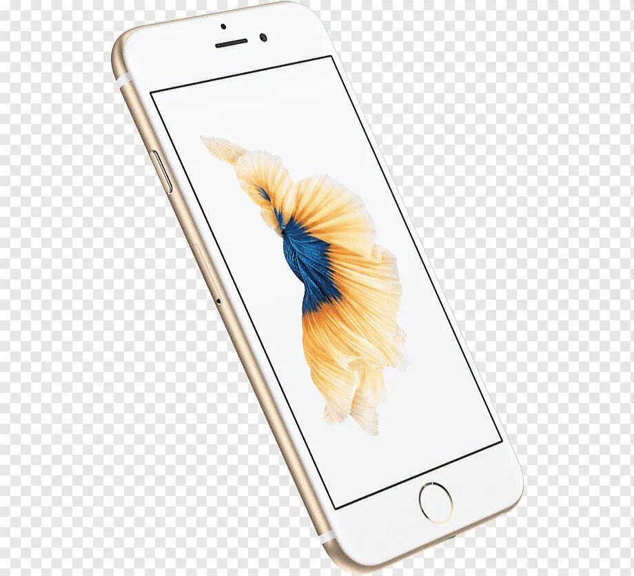 Бесплатный айфон 6 s. Айфон 6 сбоку. Iphone 6s Gold. Айфон 6s сбоку. Телефон эпл 6.