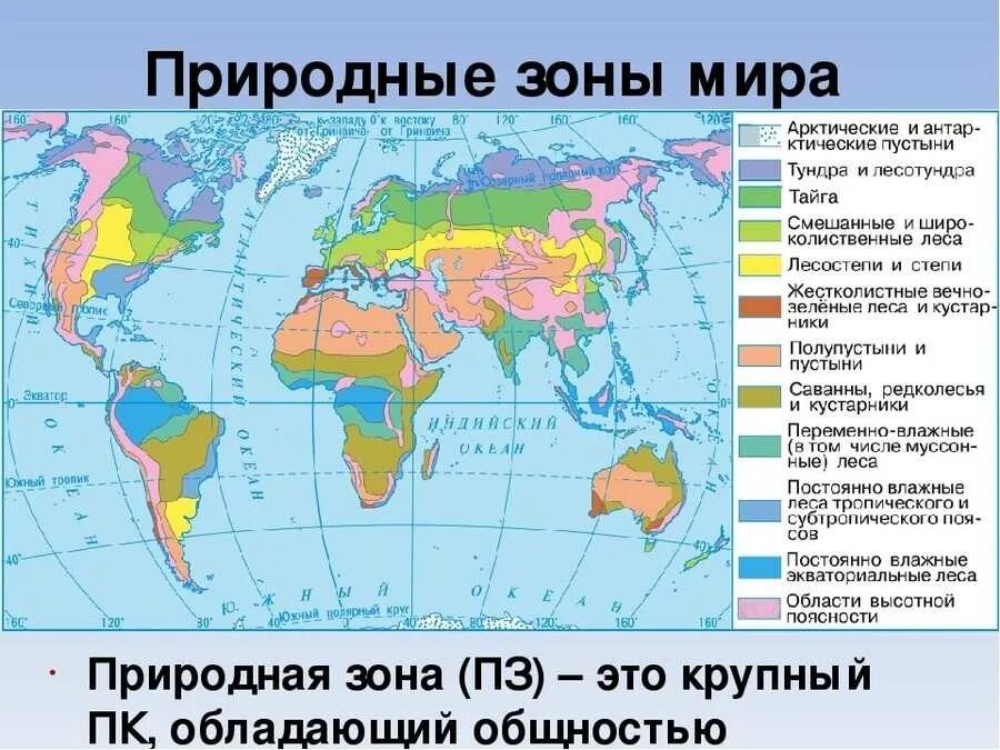 В каких странах есть леса. Карта природные зоны земли 6 класс география.