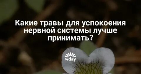 Успокаиваем душу и нервы