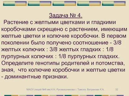 При скрещивании желтого гладкого и зеленого