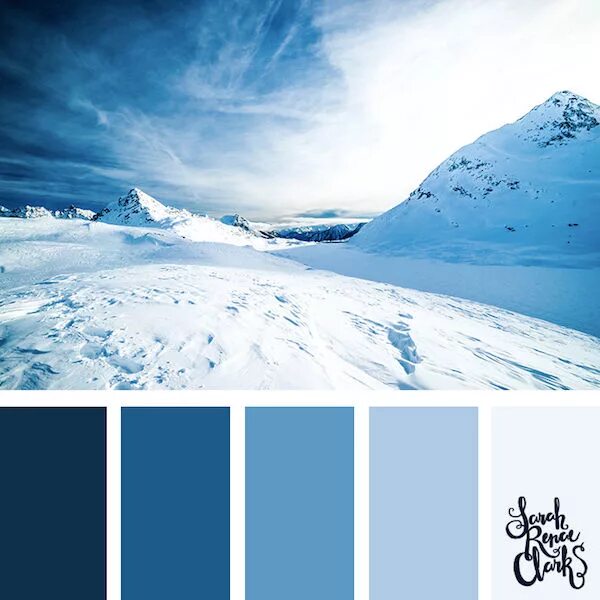 You searched for category/winter/P40 Design Seeds Design seeds color palette,