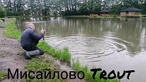 Мисайлово trout