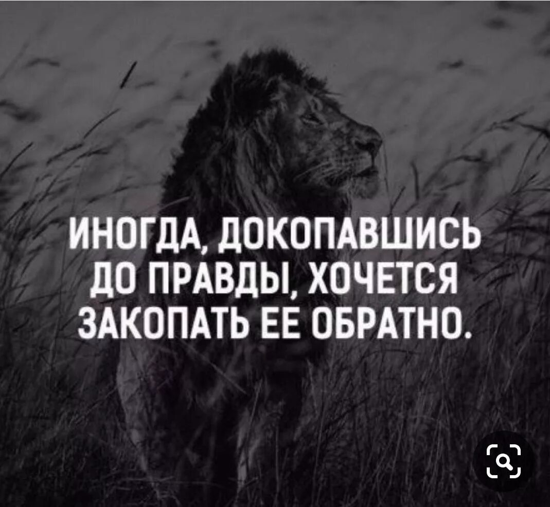 Хочете правды ее есть. Иногда докопавшись до правды хочется закопать. интересные фразы. картинки с цитатами. жизненные цитаты.