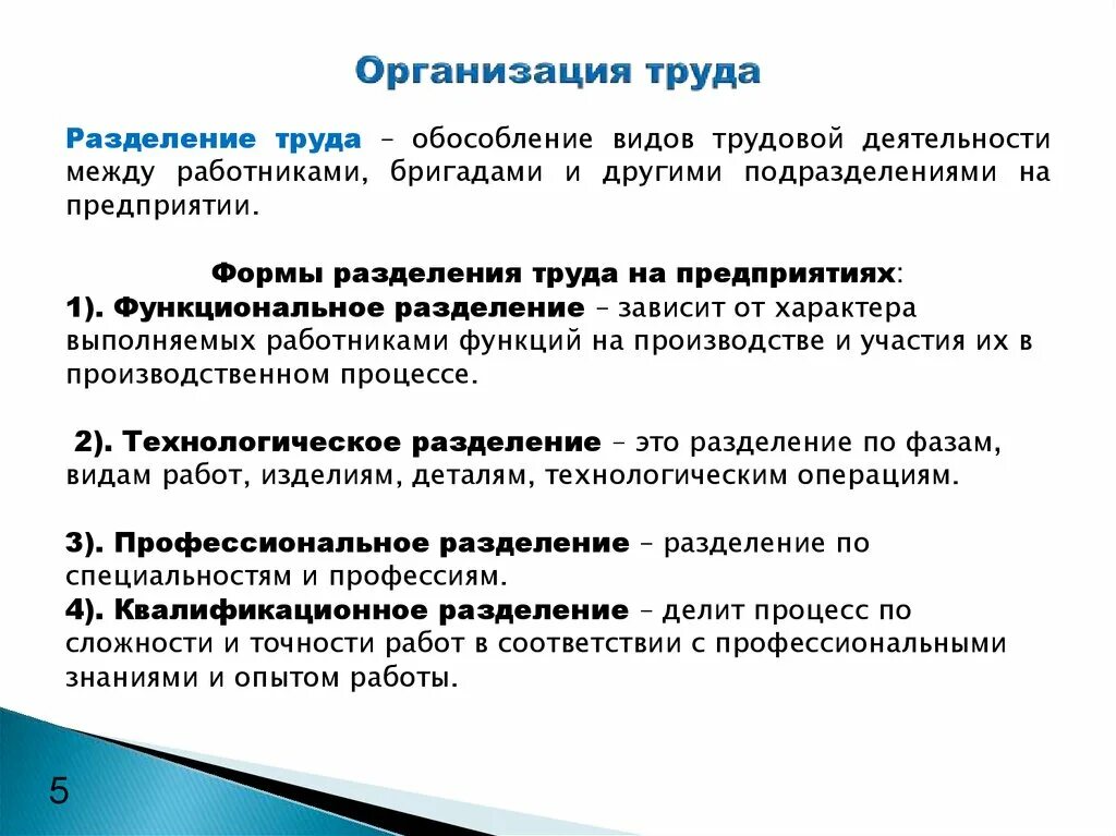 Организация труда. Организация процесса труда. Виды организации труда. Разделение труда в организации.