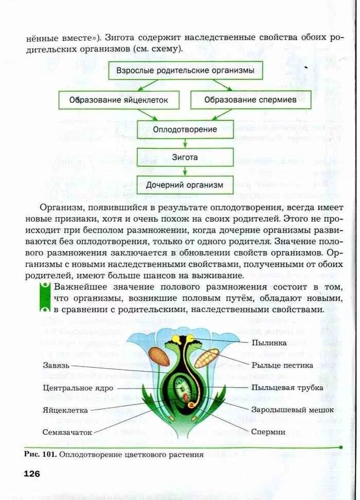 Биология 6 класс параграф 22 читать. Биология 6 класс учебник Пономарева 16 параграф. Биология 6 класс учебник Пономарева рис 95. Учебник 6 класс биология Пономарева Пономарева. Учебник по биологии 6 класс учебник пономарёва.