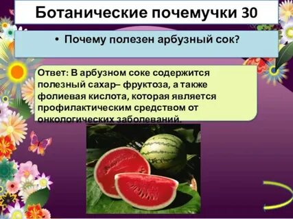 Полезный арбуз почему