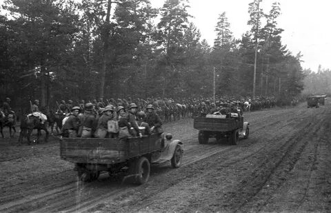 Освободительный поход 1939 года