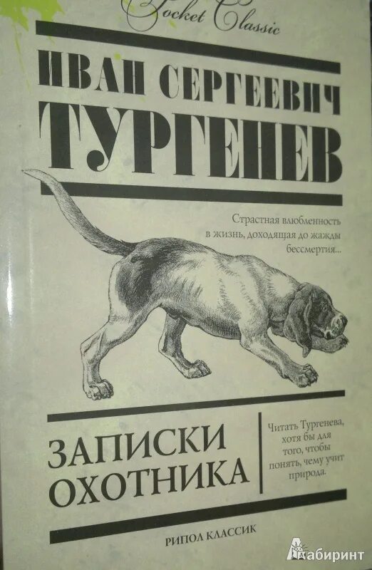 Главные идеи записок охотника. Записки охотника. записки охотника рипол классик.