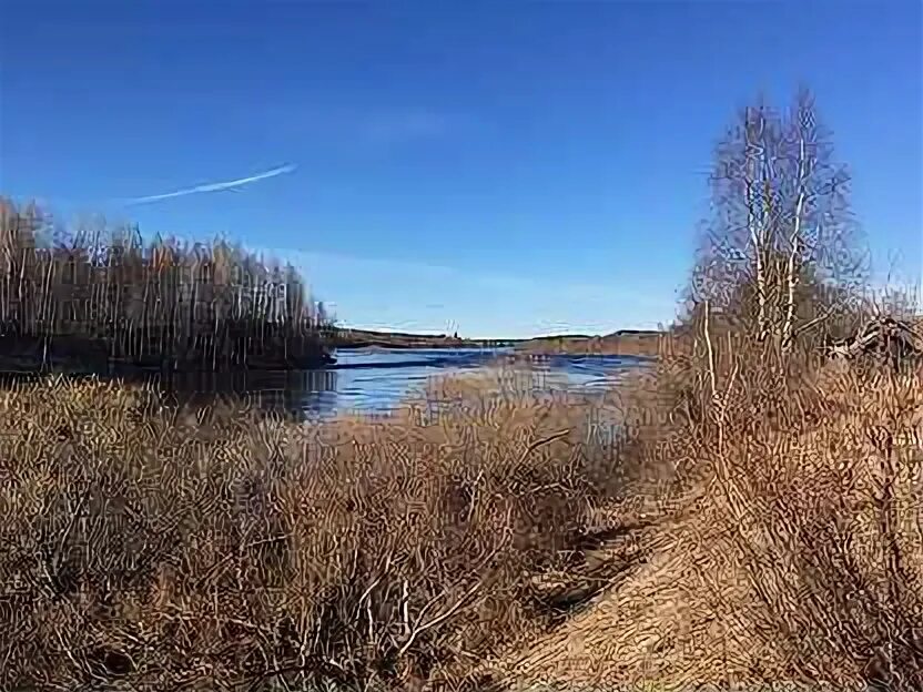 Конёво Архангельская область. Село Конево Архангельская область. Конёво. Погода конево архангельская область на неделю