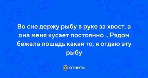 Снится держать