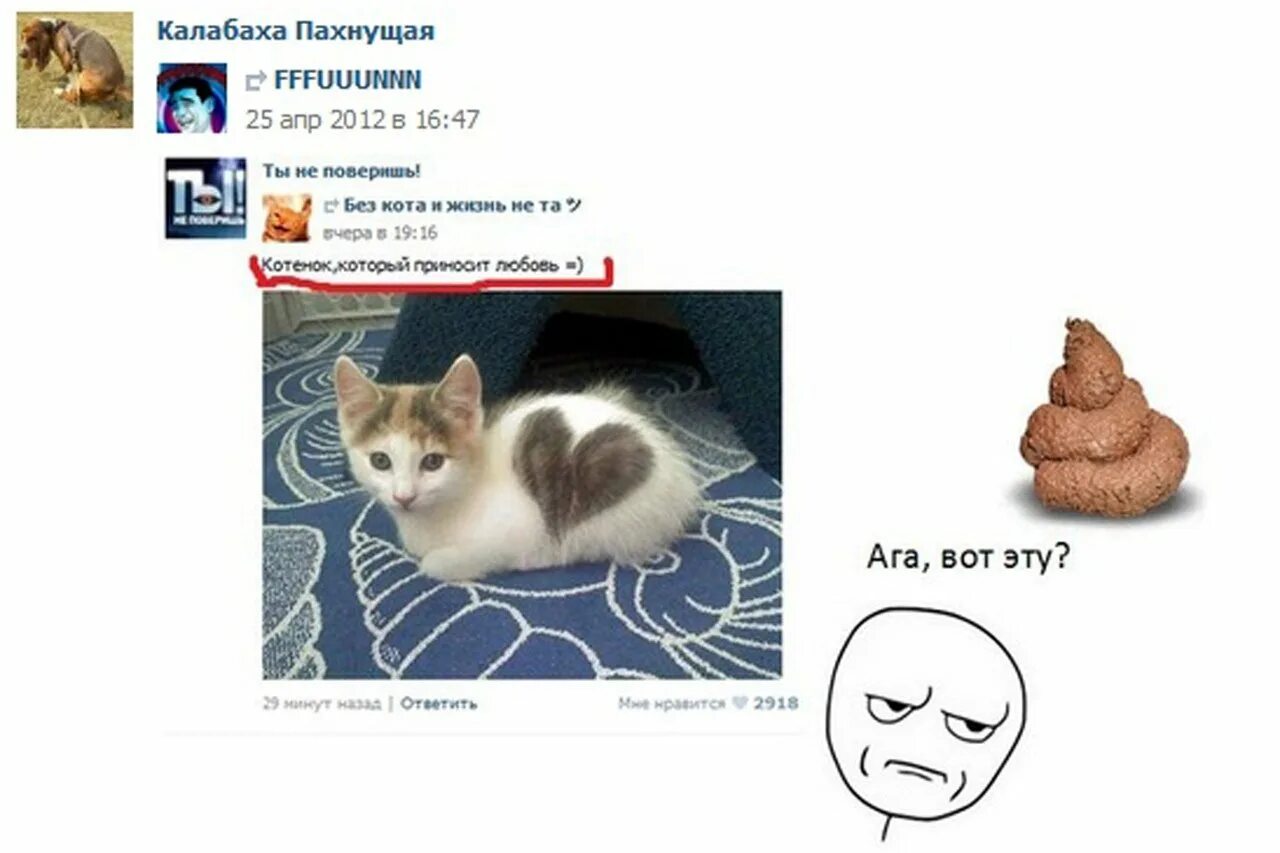 Мемы про котят. Мемы. Мемы с котом. Мемы про котов. Мемы с котами и надписями.