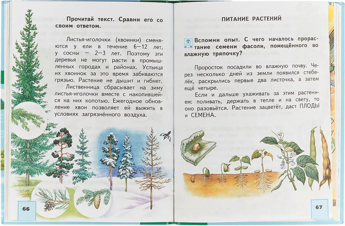 Окружающий мир 1 класс книга 2 часть