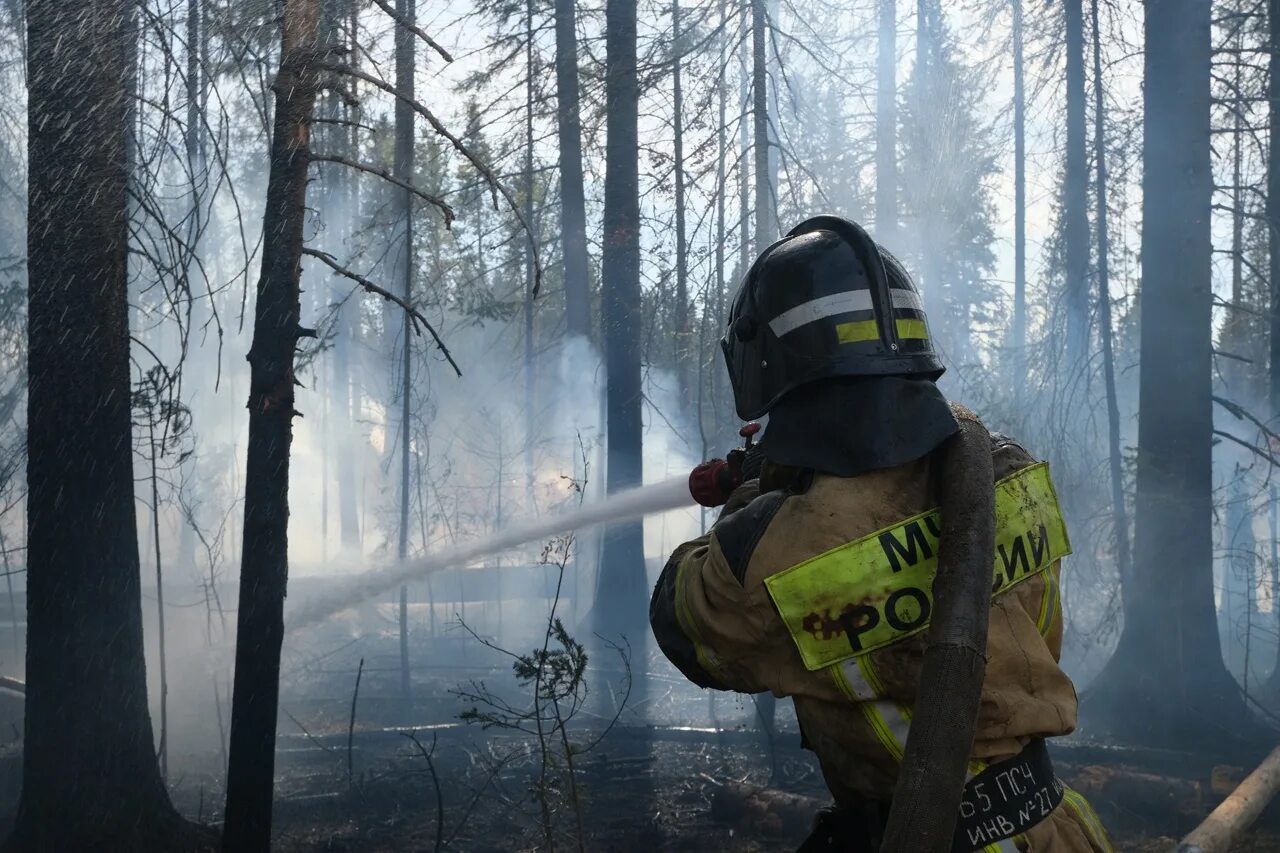 Какой противопожарный режим в свердловской области. Пожар в лесу. Лесные пожарные. Леса от пожаров. Горящие леса.