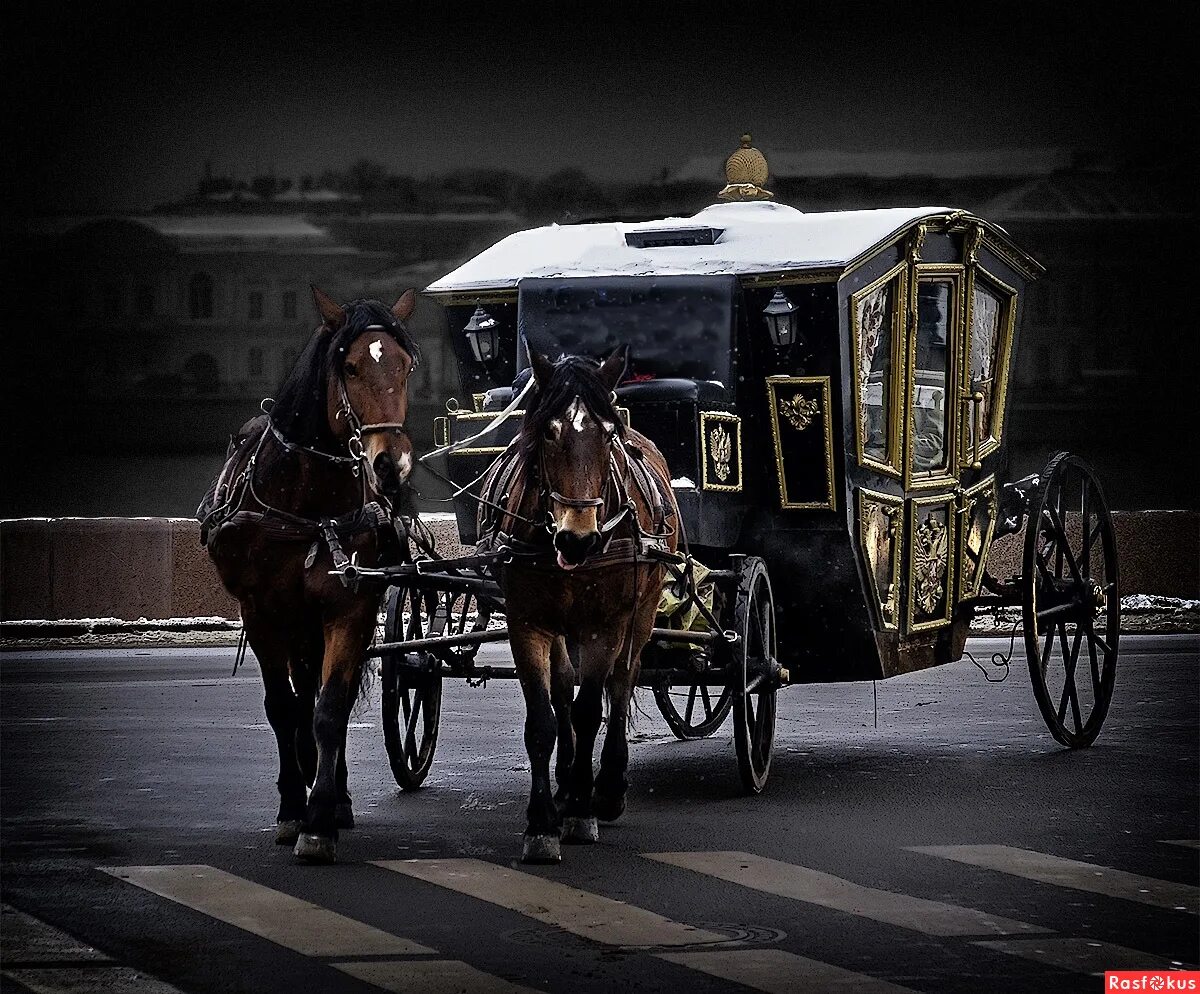 Карета орск парк. Женщина кучер. Дилижанс 18 века англия. Девушка в карете. Конь с каретой.