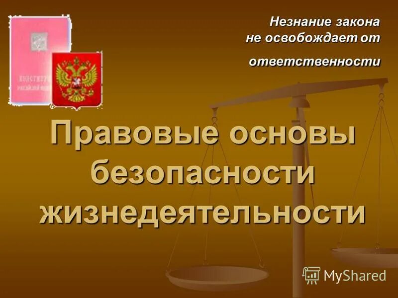 Конституционный основы обеспечения безопасности