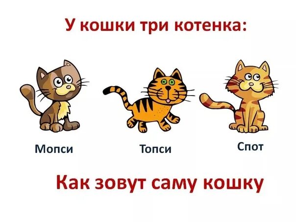 Три котенка как зовут котят