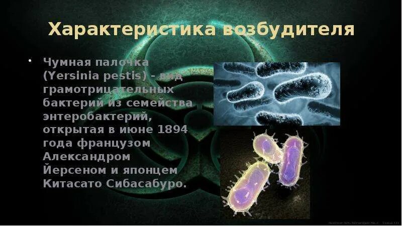 5 возбудитель чумы