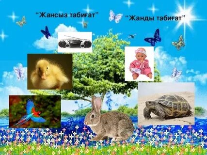 Қынаптық шарлар секс