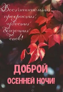 Открытки доброй сентябрьской ночи