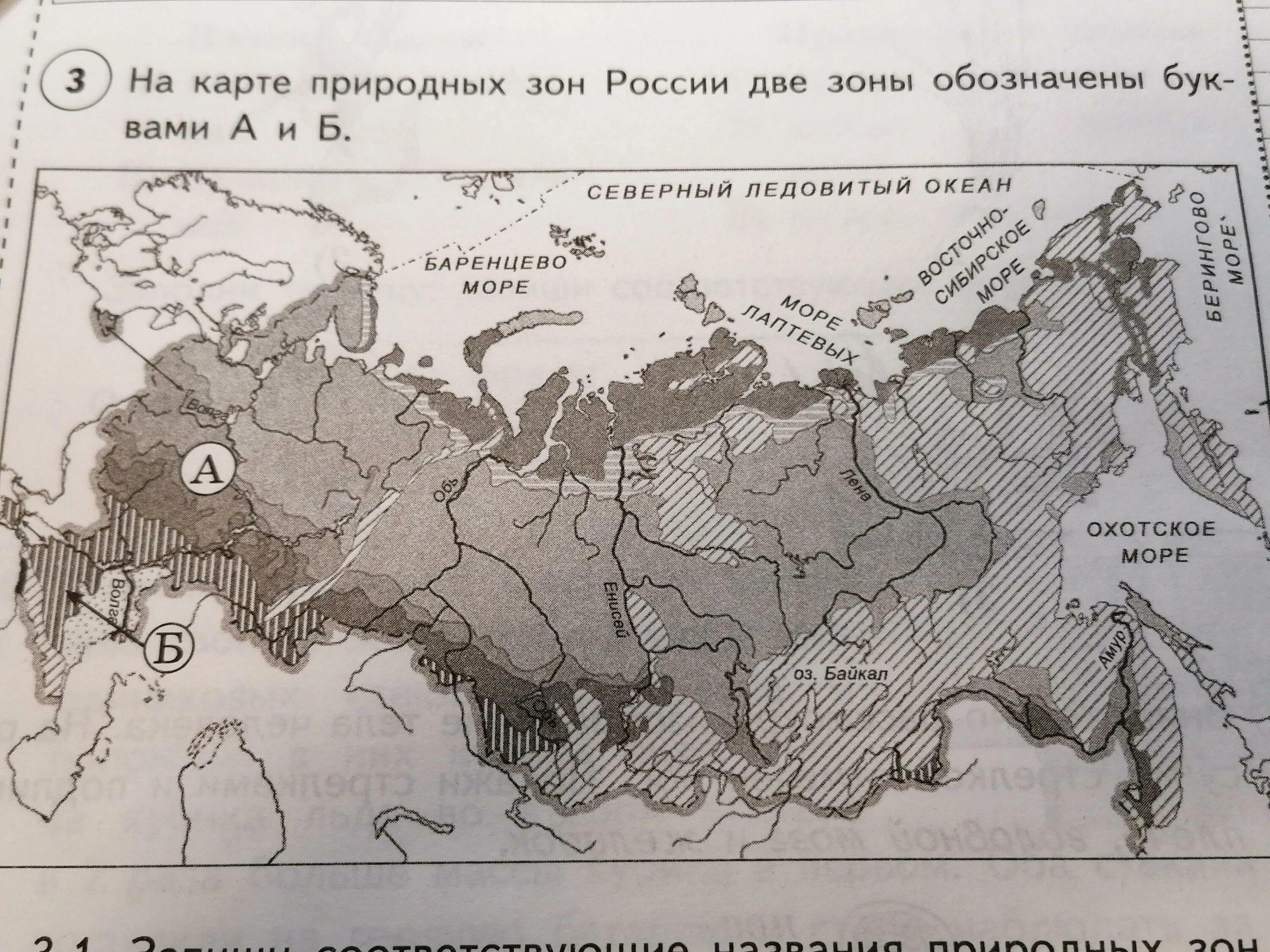 Название природных зон 4 класс впр. Карта природных зон россии 4 класс окружающий мир впр волкова. карта природных зон россии. на карте природных зон россии две зоны. карта природных зон россии черно белая.