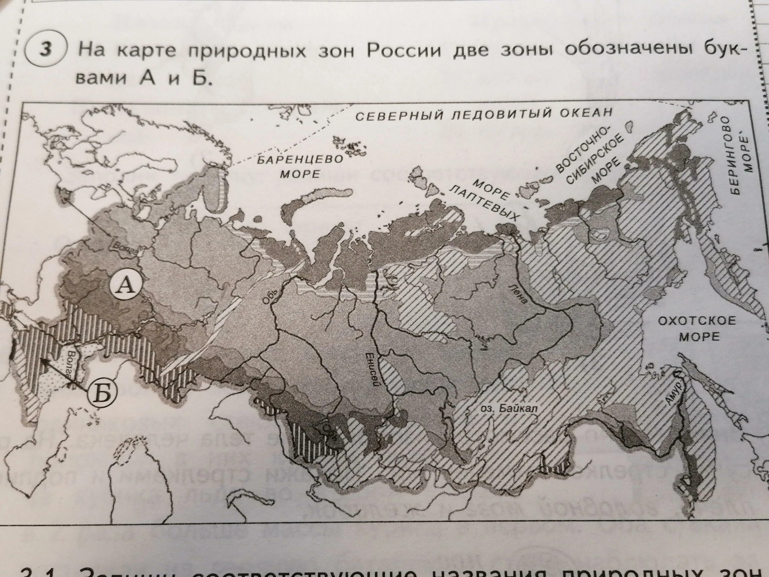 Дальше идут степные места впр ответы. Карта природных зон России 4 класс окружающий мир ВПР. На карте природных зон России две зоны обозначьте буквами а и б. Карта природных зон России 4 класс окружающий мир ВПР Волкова. На карте природных зон России две зоны обоз.