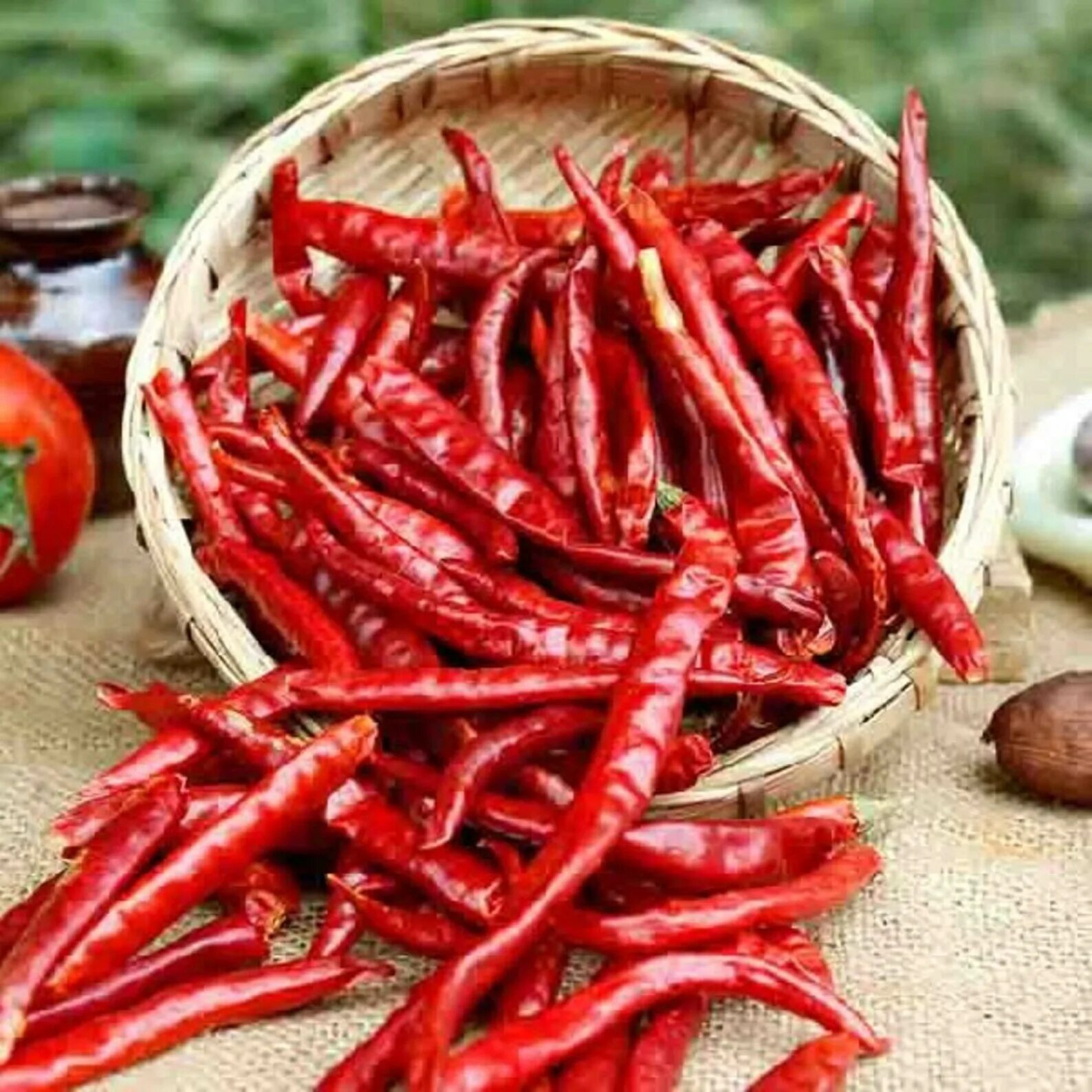 Red dry. Кашмирский перец Чили. Острый перец Kashmiri Mirch. Dried Chilli. Красный перец Чили сушеный.