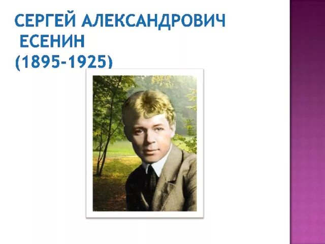 Есенин лебедушка конспект 4 класс школа россии. Лебёдушка Есенин 4 класс. Урок чтения с Есенин Лебедушка. Презентация к стихотворению с.Есенина «лебёдушка»)..