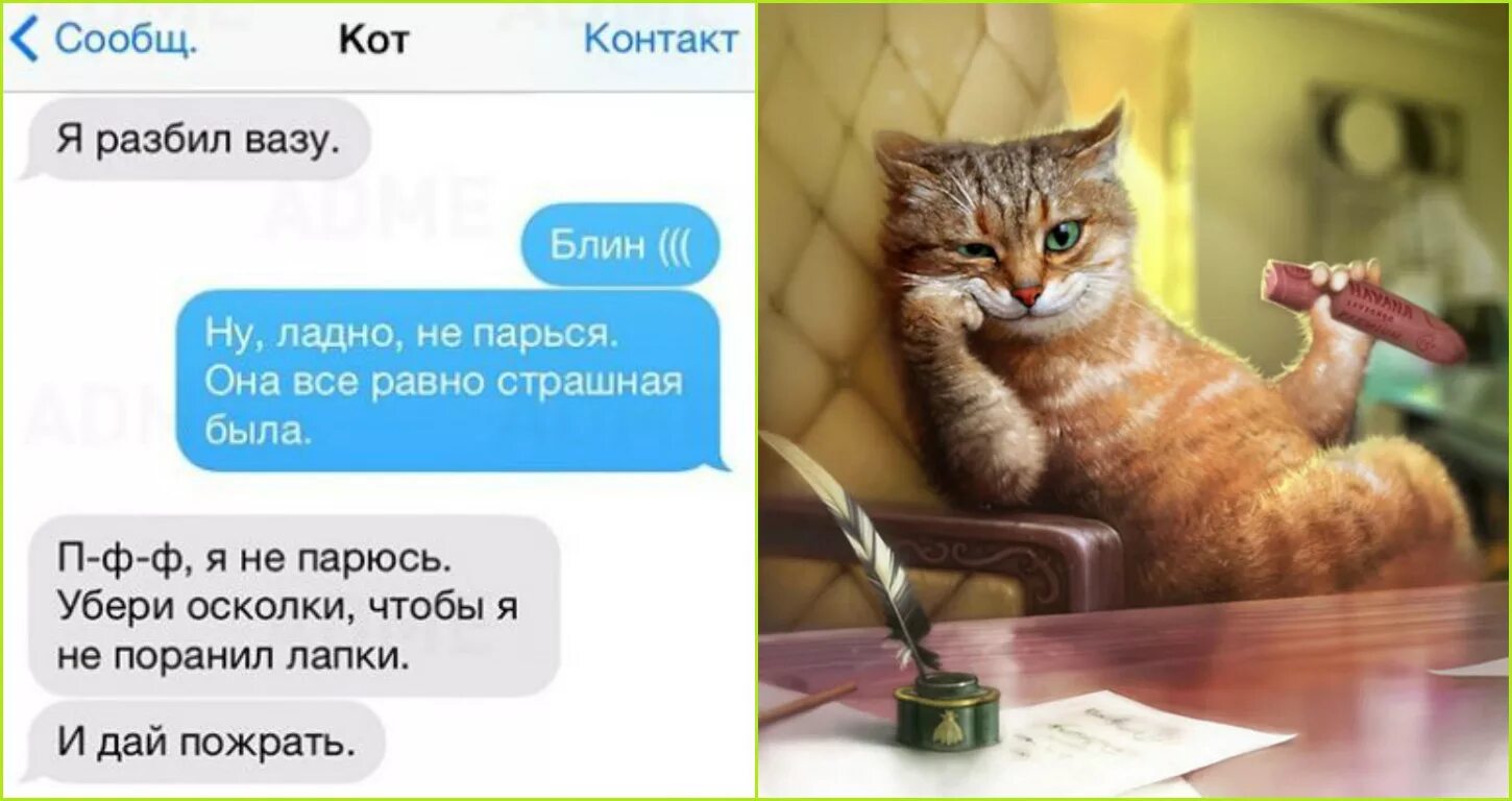 Переписка с котом. Смешные переписки с котом. Переписка кота с хозяином. Коты со смешными переписками. Переписка животных