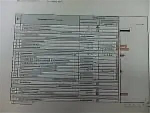 Eubacterium spp что это