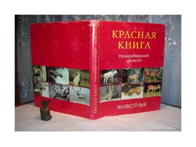 Красная книга сибирской области. Красная книга Новосибирской области обложка. Красная книга Новосибирской области книга. Красная книга Сибири. Животные красной книги Новосибирской области.