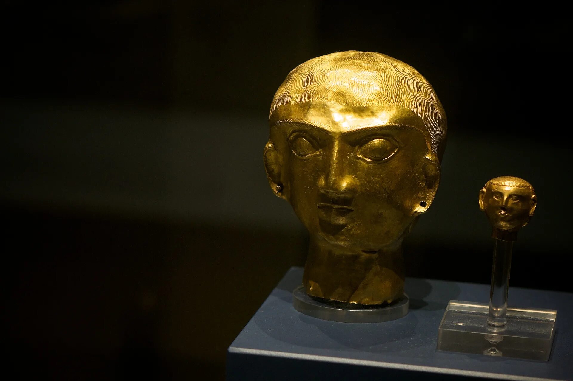 Golden head. Золотое голова для игры. Gold head boris. Golden head. Golden head by golden head.
