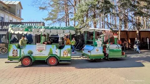Автобус до парка елочки домодедово