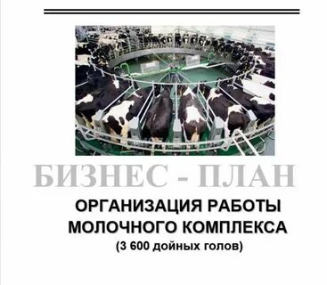 Бизнес план молочного