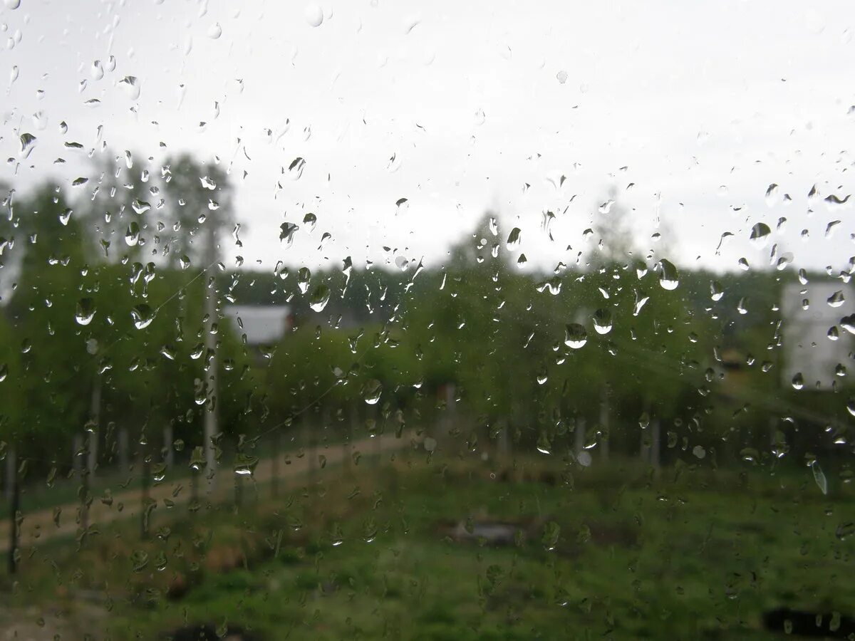 «Майский дождь» (2012 год) «. Майский дождик. Дождь в мае. Майский ливень.