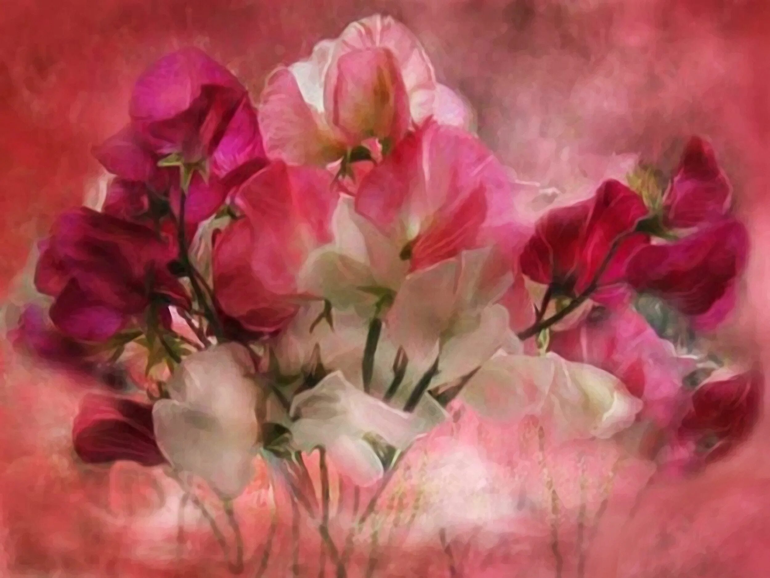 Художественное изображение цветов. Ирис oil painted. Художественное изображение цветов. Цветы компьютерная графика. Кэрол каваларис картины цветы.