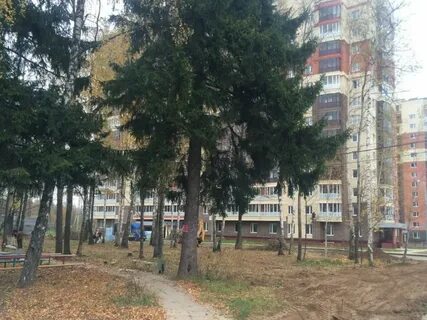 Обнинск курчатова 1