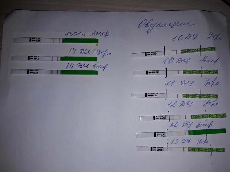 Месячные тест дюфастон. Тест на беременность на дюфастоне.