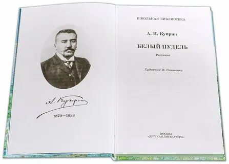 Урок литературы куприн