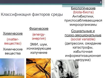 Физические и биологические факторы окружающей среды