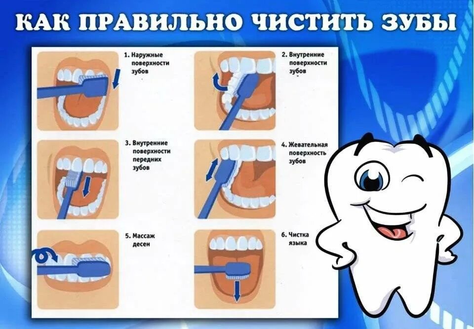 Как двигать зубной щеткой покажи стрелками