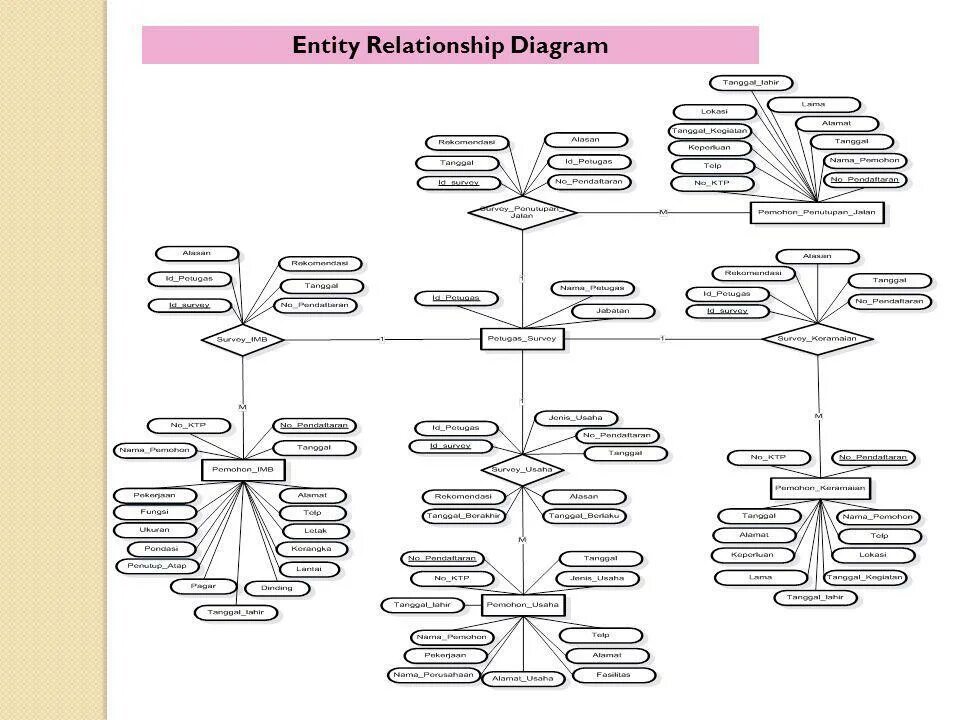 Type entities. Type entities