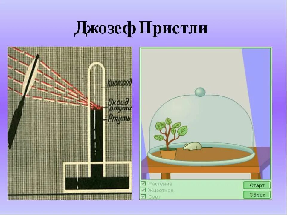 Опыт кислород в воздухе