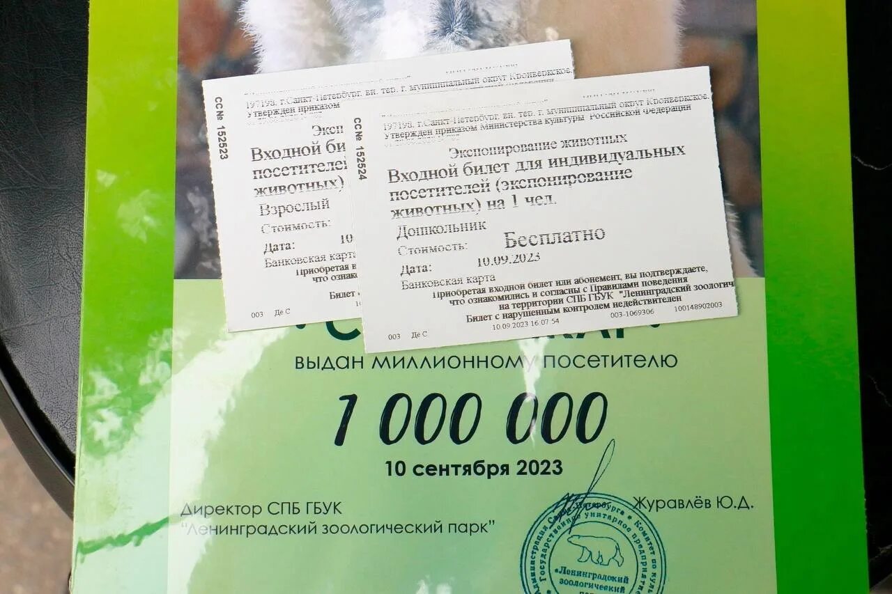 Ленинградский зоопарк Санкт-Петербург цена билетов 2023. Калининград зоопарк цена билета 2023 год.