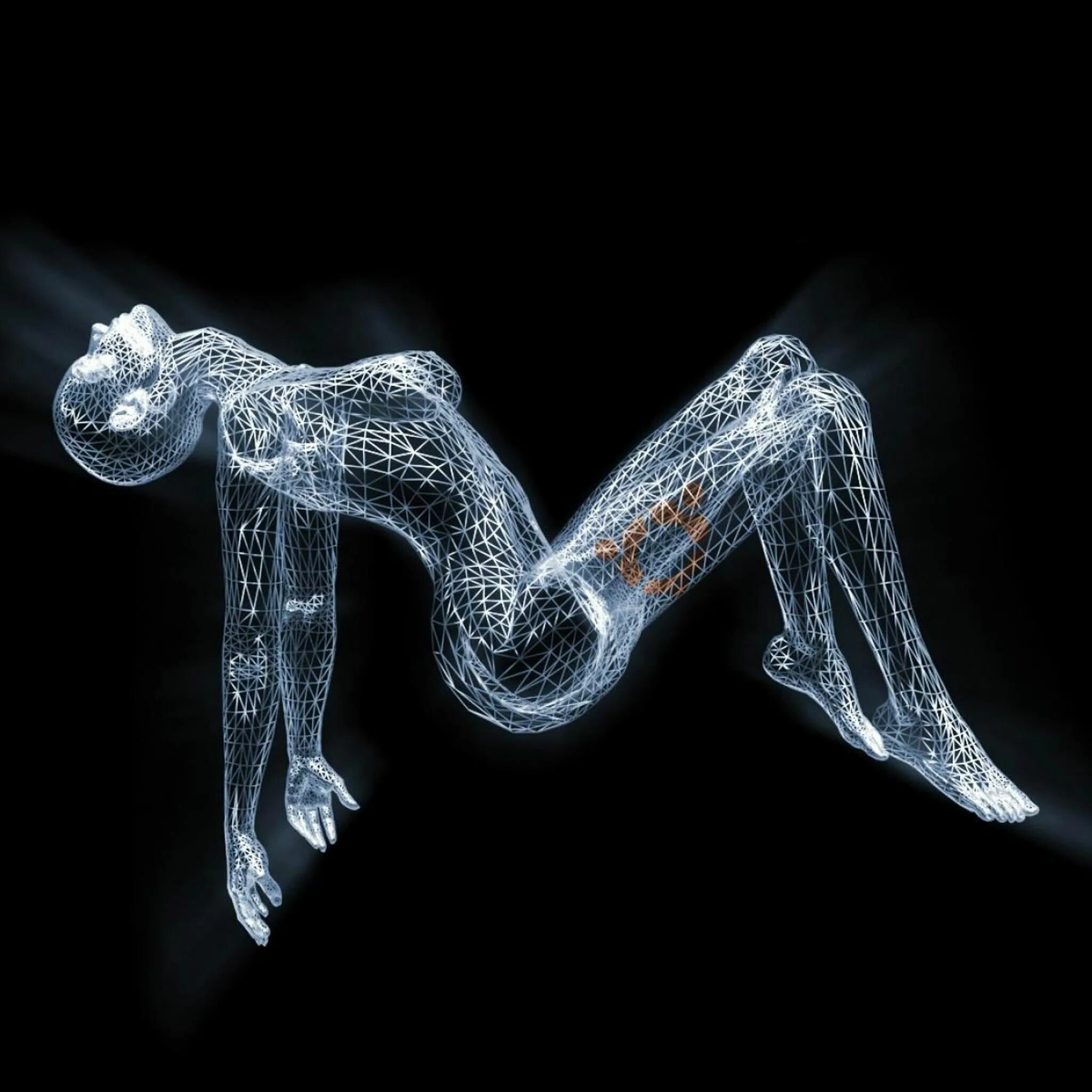 X-ray девушки. XRAY девушки 3d. XRAY Art руки. Обои XRAY Art. Bones ray