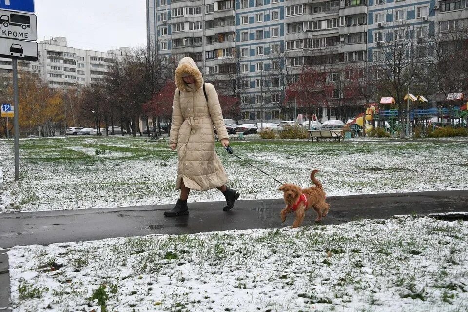 Примерно когда растает снег в 2025 году. Снег в москве. гололед в москве. гололедица в москве. снегопад в москве.