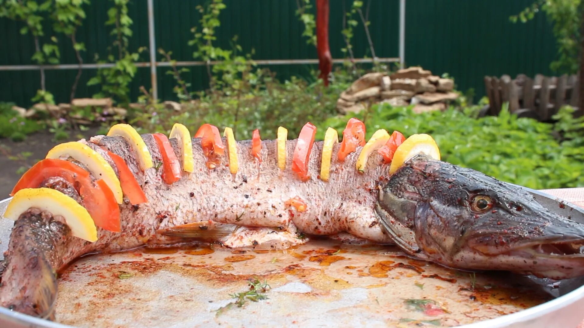 Как вкусно и сочно пожарить щуку. Шашлык из щуки. Щука на мангале. Щука шашлык. Щука фаршированная.