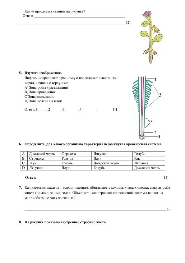 Сор 3 биология 9 класс. Соч биология 7 класс 2 четверть. Сочи по биологии 7 класс за 2 четверть с ответами. Биология 7 класс 2 четверть ответы. Биология+сор+7+класс+2+четверть.